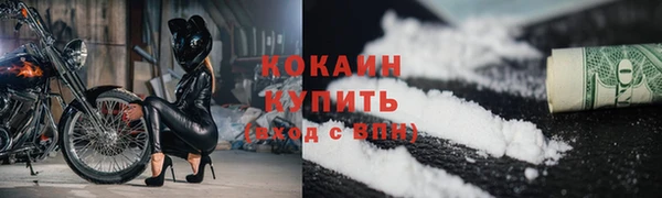 крисы Абаза